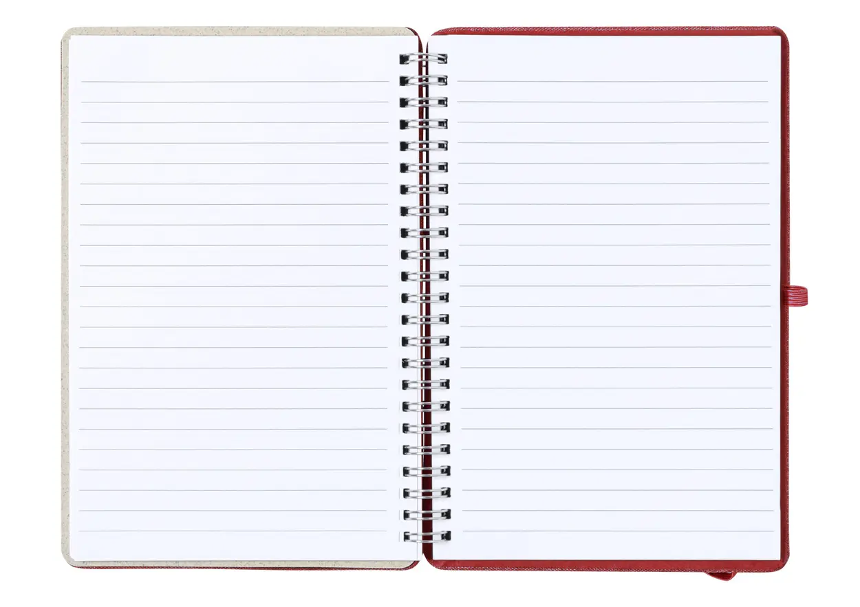 RPET Notes Maisux AP722533 red-2