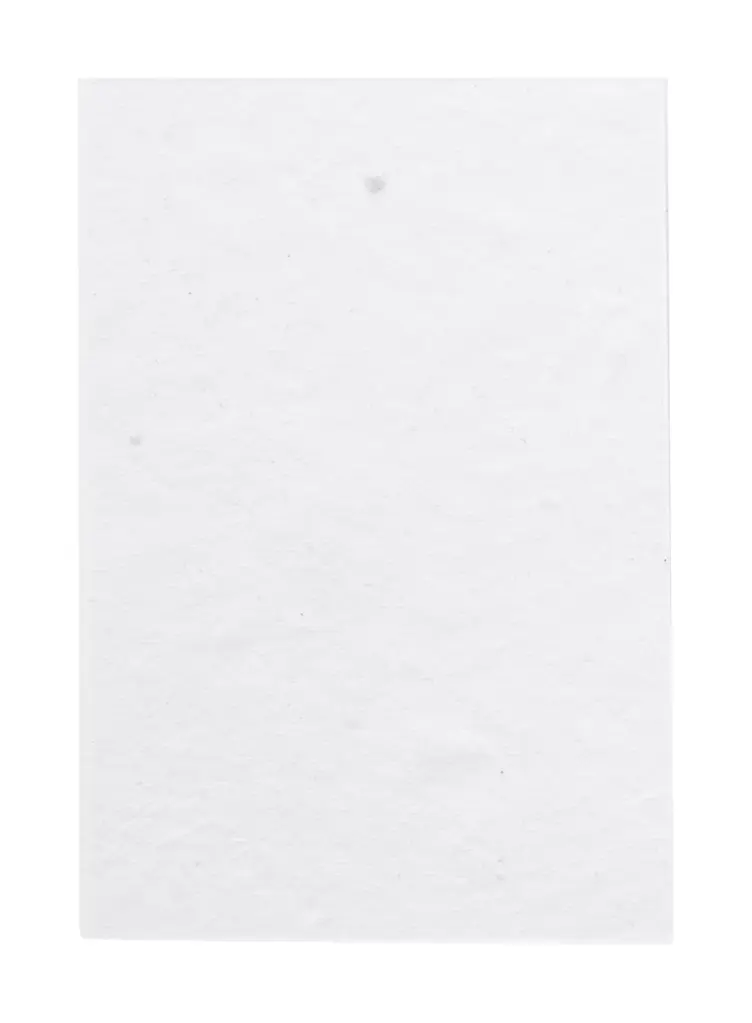 Samoljepljivi notes CreaStick Seed Combo A AP716812 white 100×75×9 mm-2