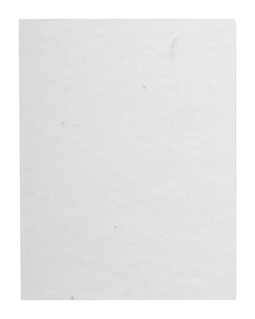 Samoljepljivi notes CreaStick Seed Note L AP716817 white 100×75×9 mm-2